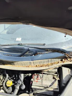 Foto de ARTICULACION LIMPIA DELANTERA RENAULT SCENIC II (JM) 1.9 dCi Diesel (120 CV / 88 KW)