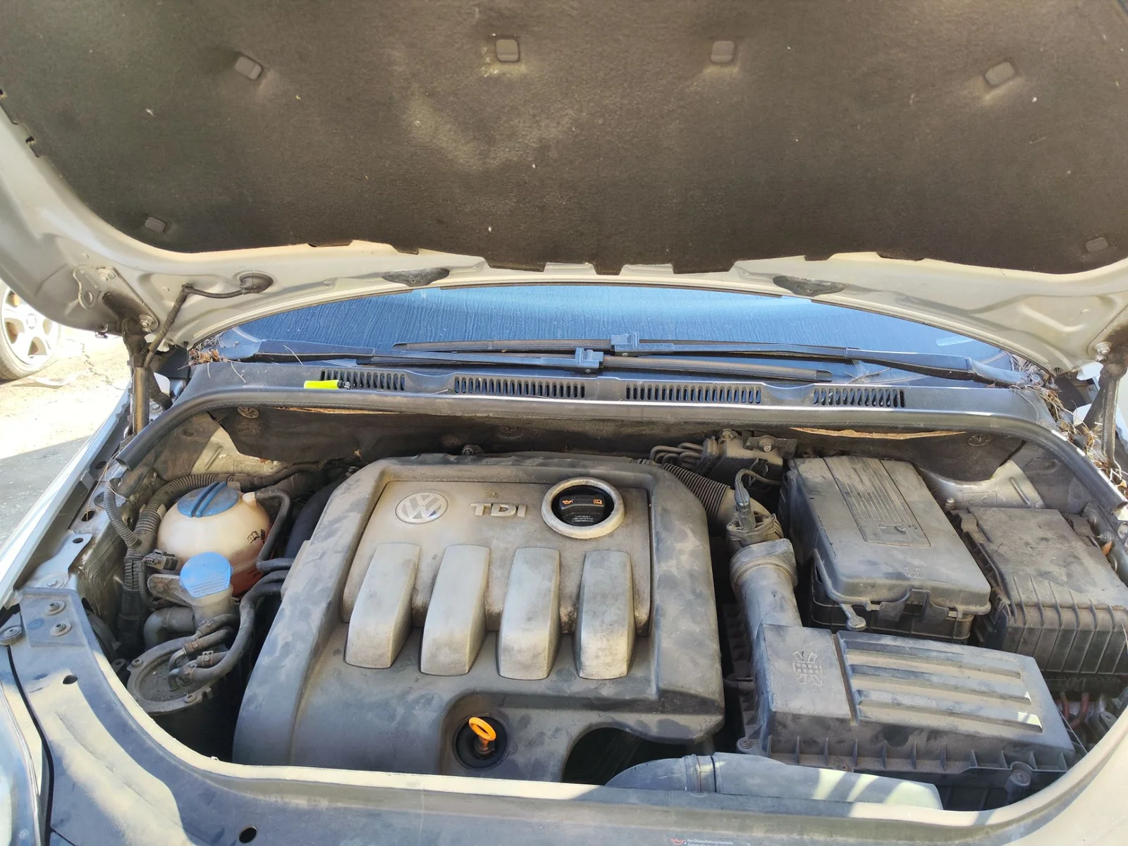 Foto de TORPEDO VOLKSWAGEN GOLF PLUS V (5M1) 1.9 TDI (105 CV / 77 KW)