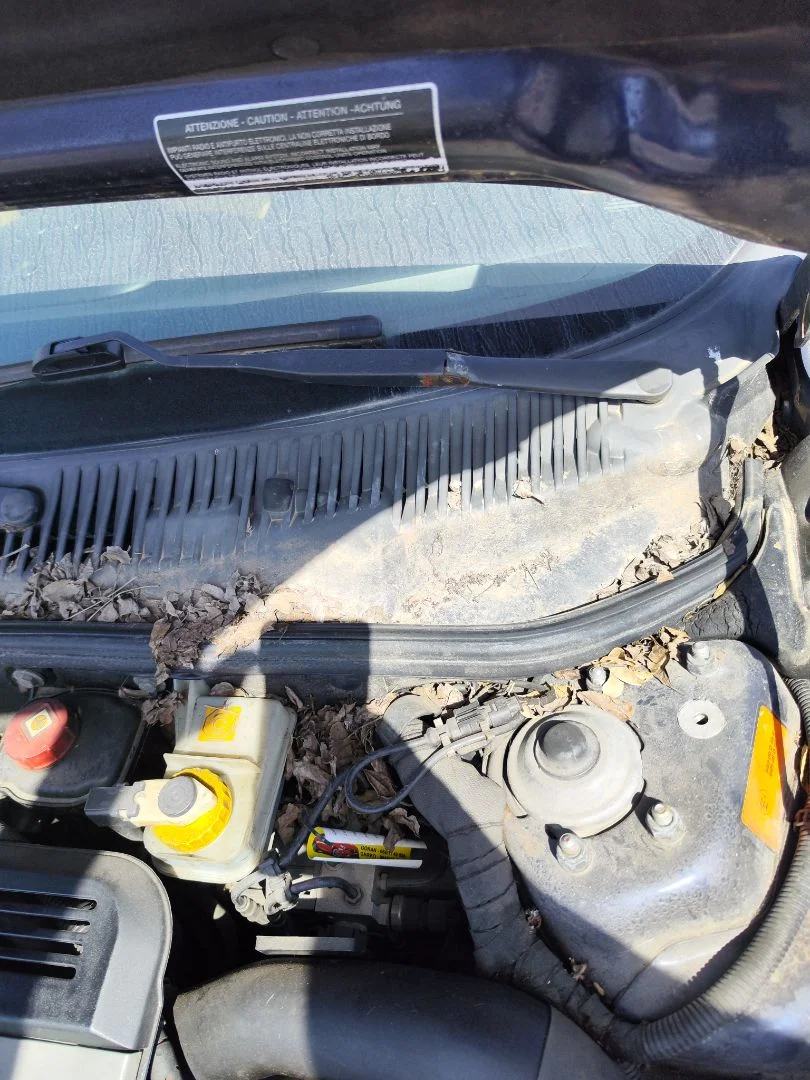 Foto de MOTOR LIMPIA DELANTERO ALFA ROMEO 156 SPORTWAGON 2.4 JTD CAT (175 CV / 129 KW)