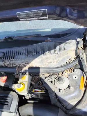 Foto de MOTOR LIMPIA DELANTERO ALFA ROMEO 156 SPORTWAGON 2.4 JTD CAT (175 CV / 129 KW)