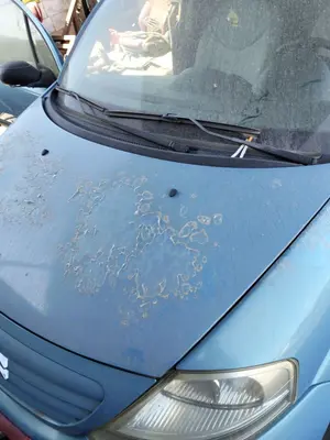 Foto de CAPO CITROEN C3 1.4 HDi (68 CV / 50 KW) referencia 7901K6 foto 3