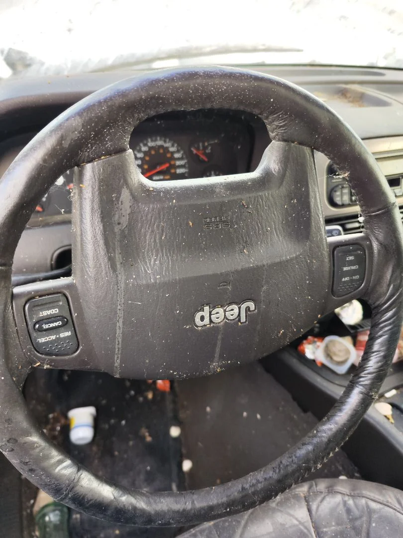 Foto de AIRBAG DELANTERO IZQUIERDO JEEP GRAND CHEROKEE (WJ/WG) 4.0 CAT (190 CV / 140 KW)
