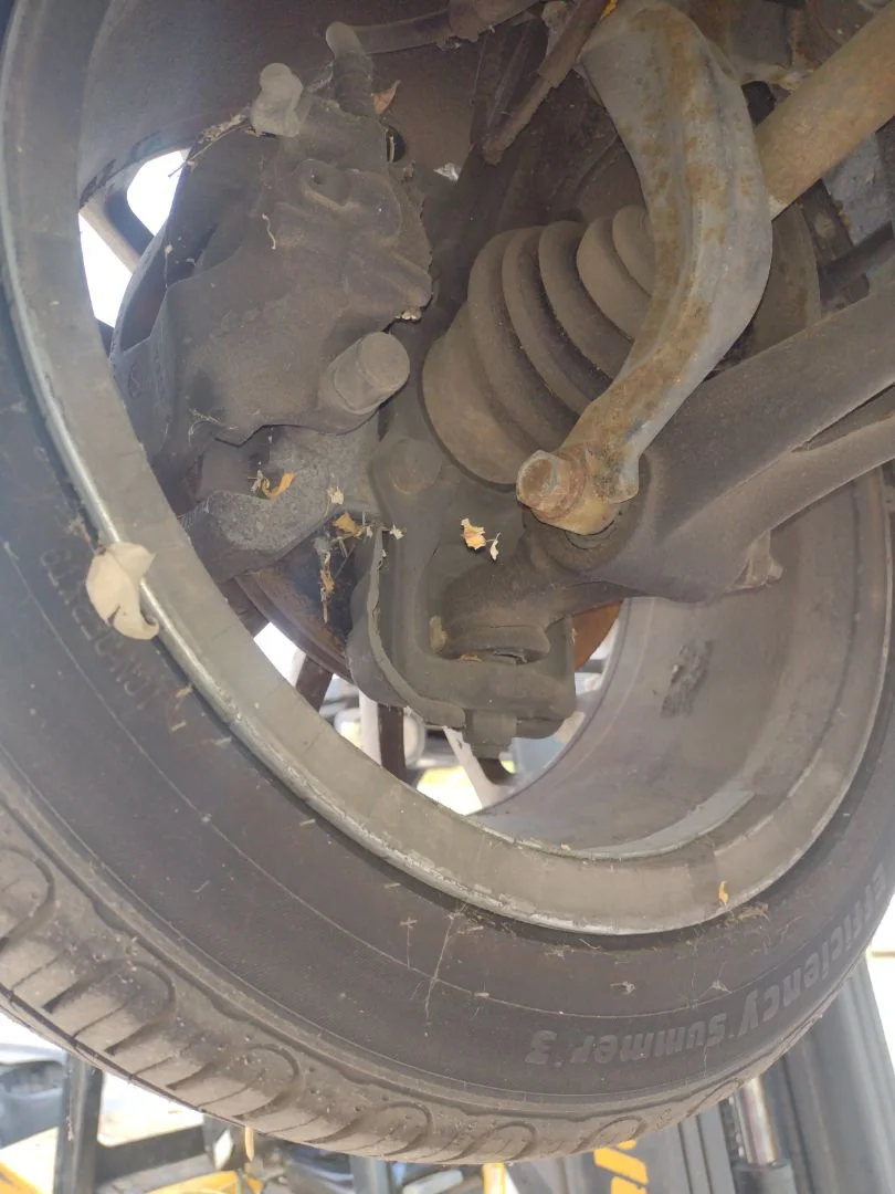 Foto de MANGUETA DELANTERA DERECHA ALFA ROMEO GT (125) 1.9 JTD (M) 16V CAT (150 CV / 110 KW) referencia 0060624975
