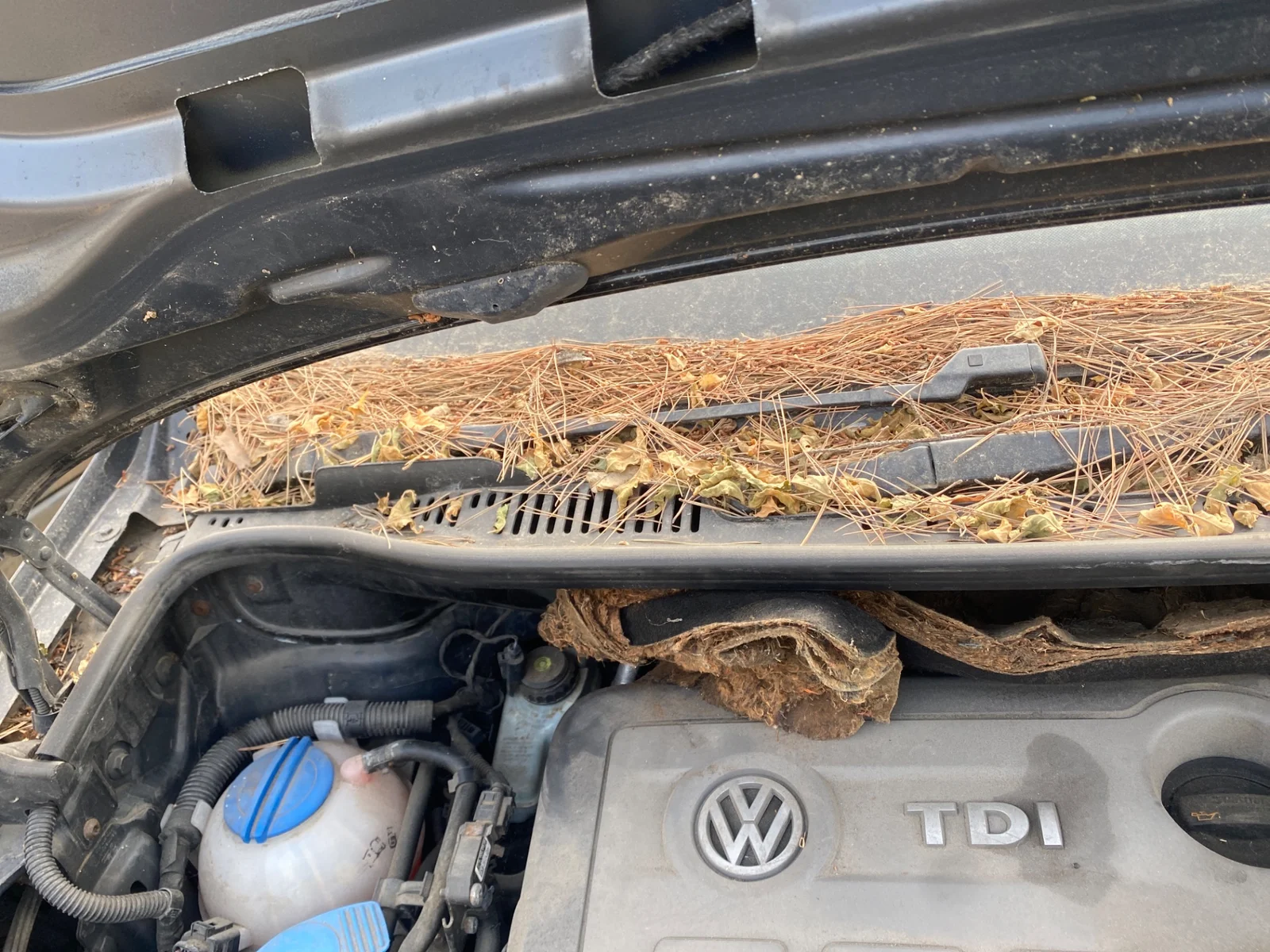 Foto de BRAZO LIMPIA DELANTERO DERECHO VOLKSWAGEN TOURAN (1T3) 1.6 TDI DPF (105 CV / 77 KW) referencia 2K1955410B