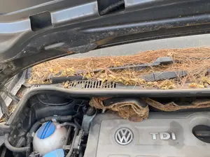 Foto de BRAZO LIMPIA DELANTERO DERECHO VOLKSWAGEN TOURAN (1T3) 1.6 TDI DPF (105 CV / 77 KW) referencia 2K1955410B