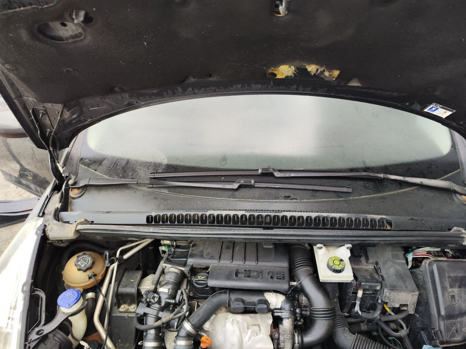 Foto de TORPEDO PEUGEOT 5008 1.6 HDi FAP CAT (9HZ / DV6TED4) (109 CV / 80 KW)