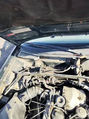 Foto de BRAZO LIMPIA DELANTERO DERECHO AUDI A6 BERLINA (4B2) 2.5 V6 24V TDI (150 CV / 110 KW)