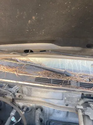 Foto de BRAZO LIMPIA DELANTERO IZQUIERDO NISSAN ALMERA (N15) 2.0 Diesel (75 CV / 55 KW)