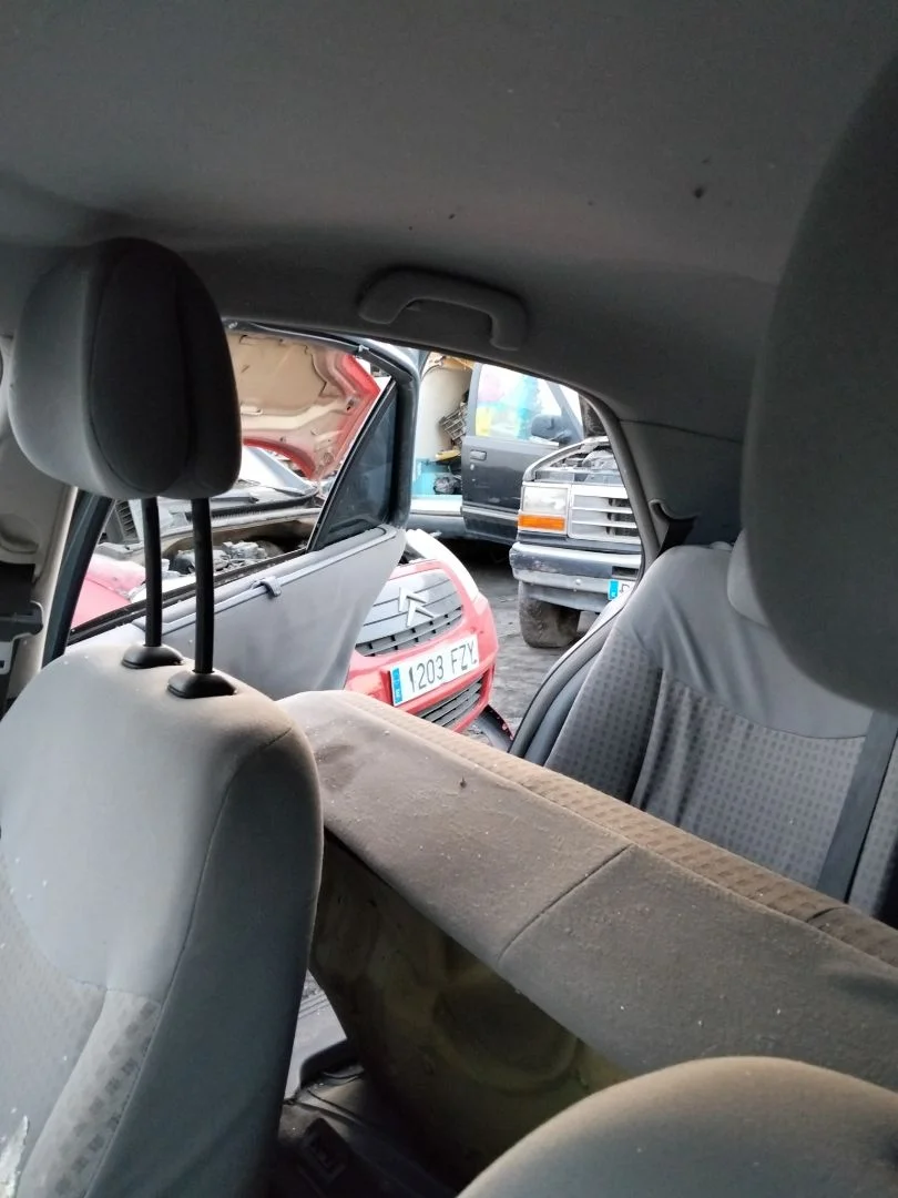 Foto de ASIDERO TECHO TRASERO DERECHO RENAULT LAGUNA II (BG0) 1.9 dCi Diesel CAT (101 CV / 74 KW) referencia 8200003209