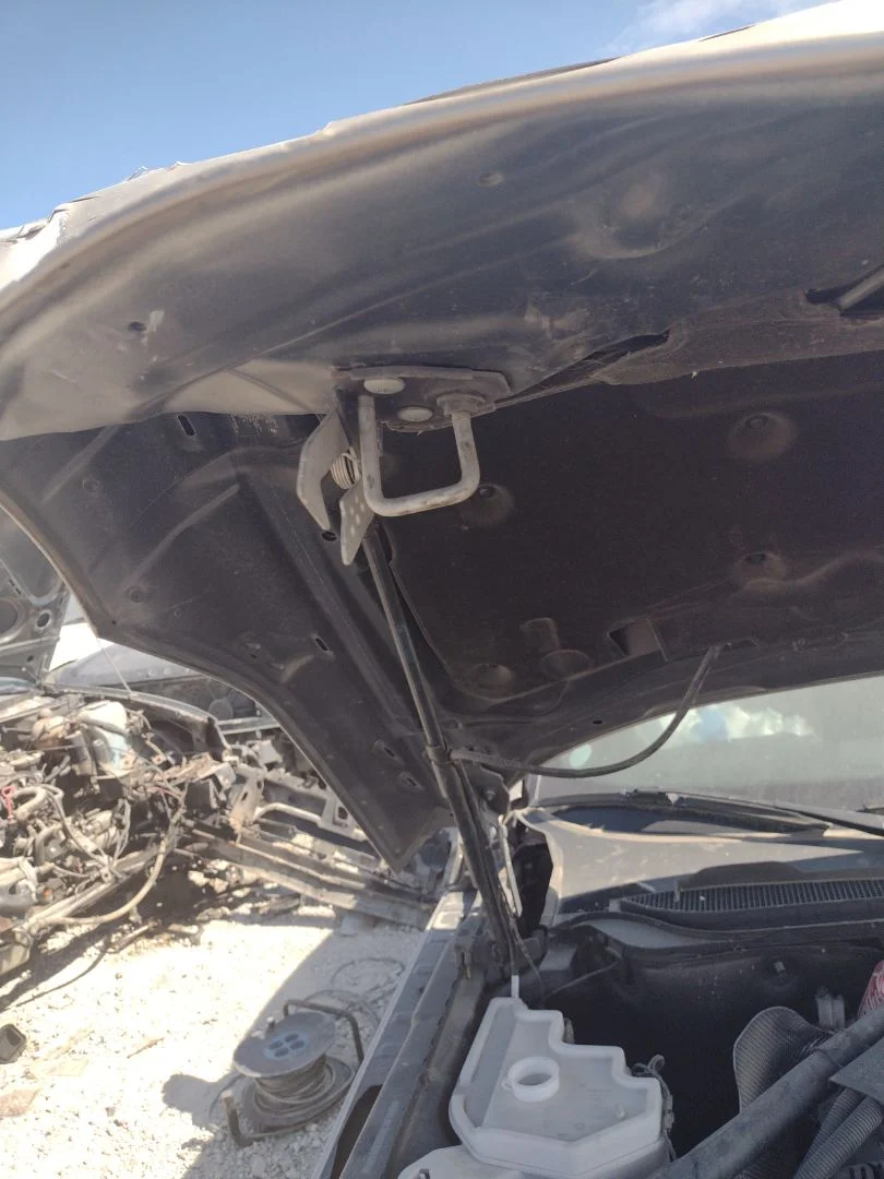 Foto de CERRADURA CAPO BMW SERIE Z4 ROADSTER (E89) 2.5 24V CAT (204 CV / 150 KW) referencia 51237184441