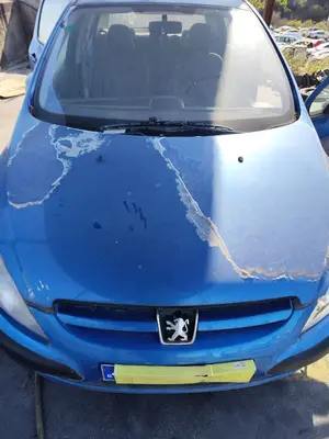 Foto de CAPO PEUGEOT 307 (S1)(04.2001) 1.6 16V CAT (109 CV / 80 KW) referencia 7901J0 foto 4
