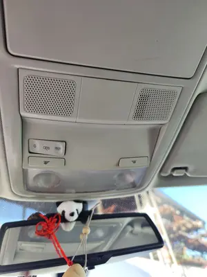 Foto de LUZ INTERIOR VOLKSWAGEN GOLF PLUS V (5M1) 1.9 TDI (105 CV / 77 KW)