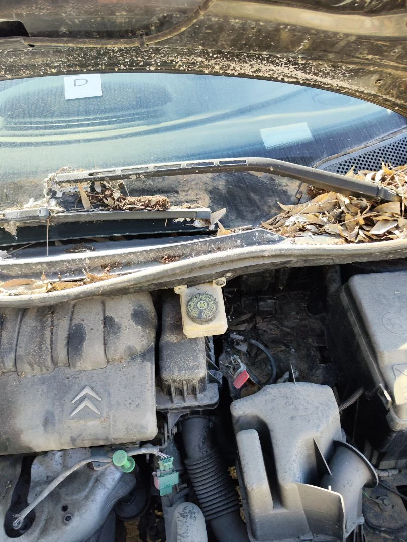 Foto de BRAZO LIMPIA DELANTERO IZQUIERDO CITROEN C4 COUPE 1.4 16V (88 CV / 65 KW)