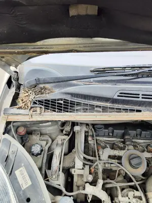 Foto de BRAZO LIMPIA DELANTERO DERECHO CITROEN XSARA PICASSO 2.0 HDi CAT (RHY / DW10TD) (90 CV / 66 KW)