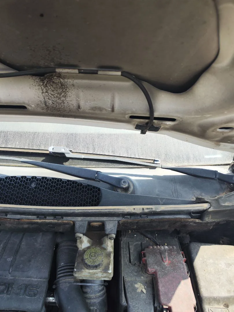 Foto de BRAZO LIMPIA DELANTERO IZQUIERDO CITROEN BERLINGO FURGÓN 1.6 16V HDi FAP (90 CV / 66 KW) referencia 6429FG