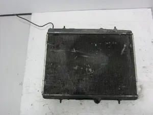 Foto de RADIADOR AGUA CITROEN GRAND C4 PICASSO 1.6 16V HDi FAP (109 CV / 80 KW) referencia 9680533480 foto 3