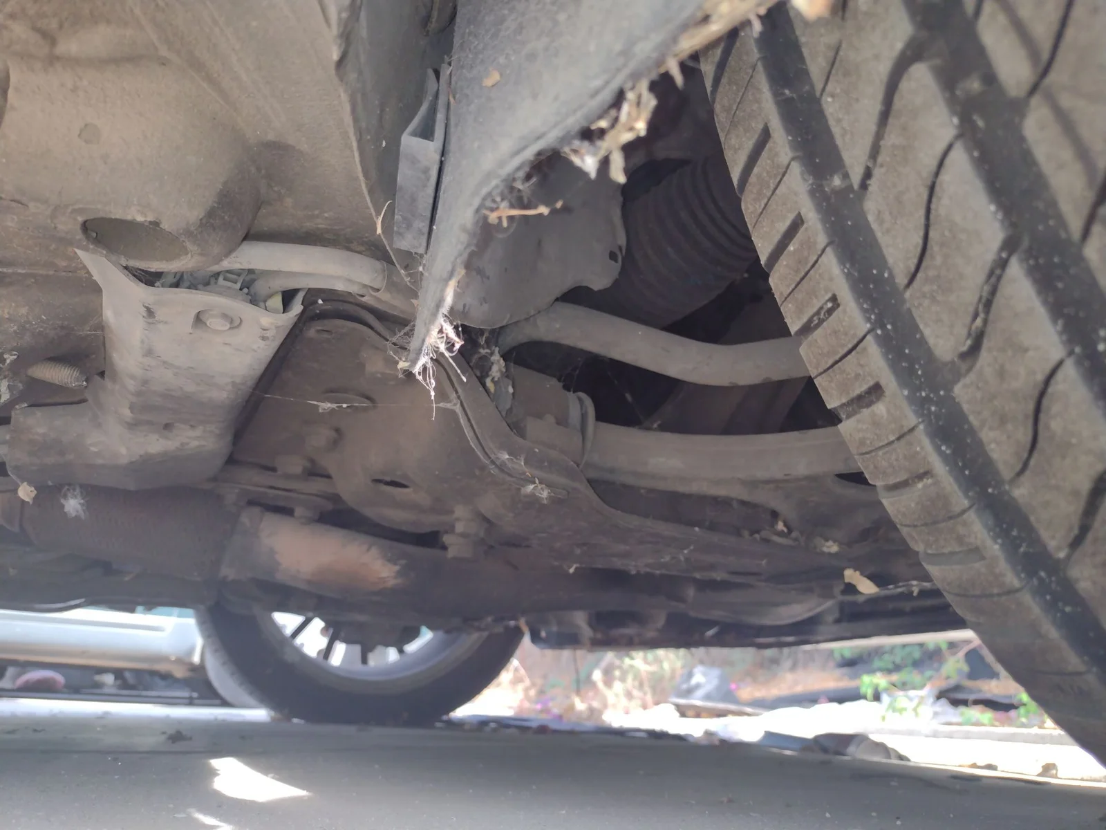 Foto de CAJA CAMBIOS ALFA ROMEO GT (125) 1.9 JTD (M) 16V CAT (150 CV / 110 KW) referencia 0055210104