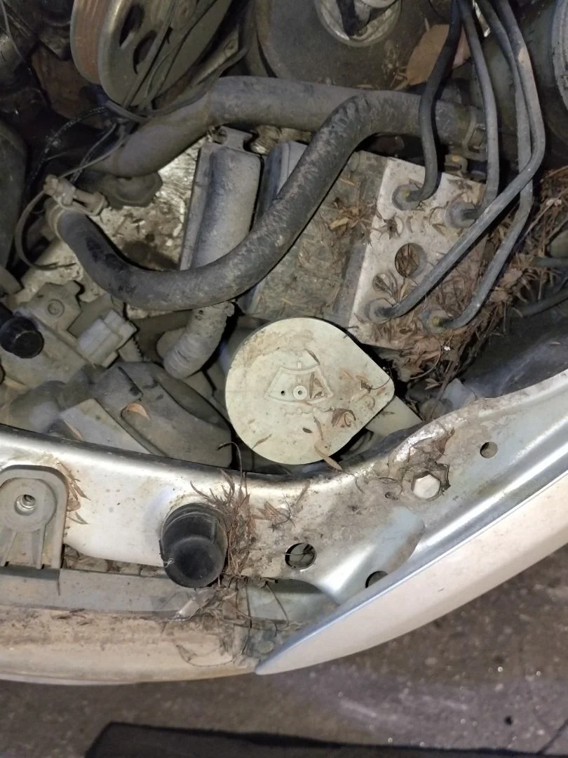Foto de DEPOSITO LIMPIA HONDA ACCORD BERLINA (CG7-9/CH1-7)