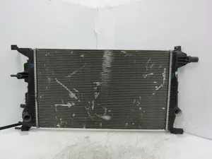 Foto de RADIADOR AGUA RENAULT SCENIC III (JZ) 1.6 dCi Diesel FAP (131 CV / 96 KW) referencia RA1562M135272F