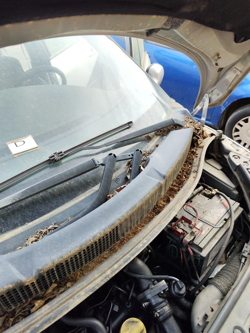 Foto de MOTOR LIMPIA DELANTERO RENAULT SCENIC II (JM) 1.5 dCi Diesel (101 CV / 74 KW) referencia 7701056003