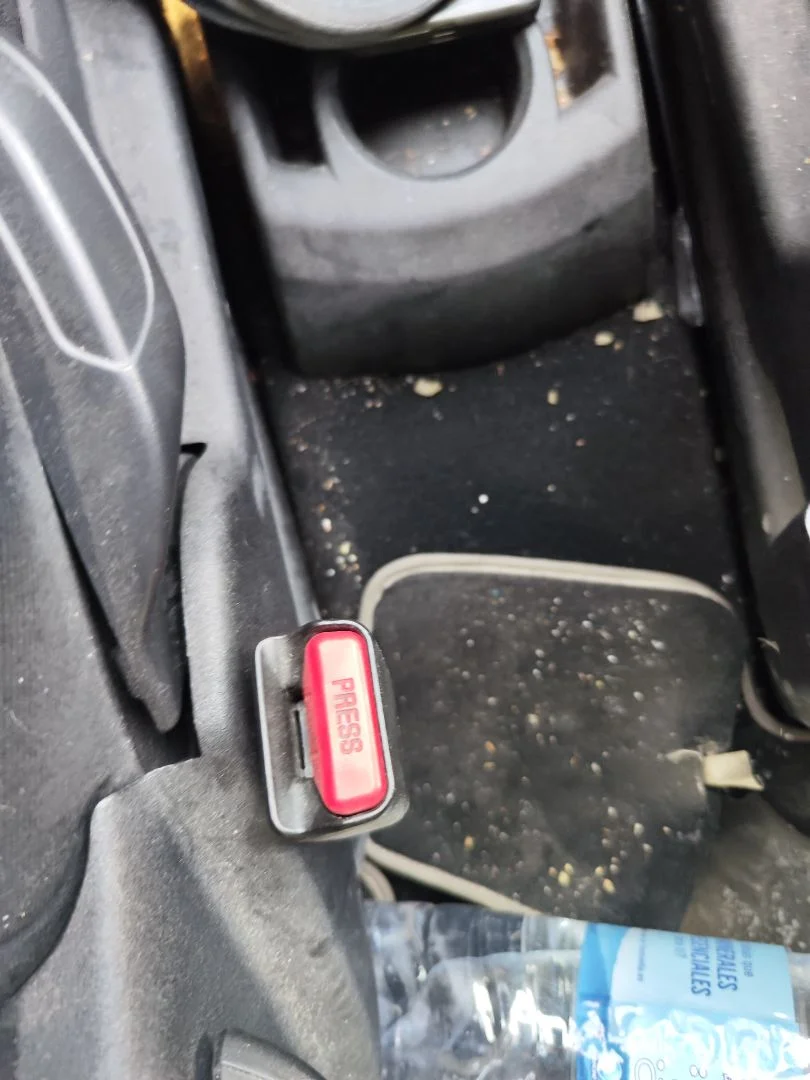 Foto de ENGANCHE CINTURON DELANTERO IZQUIERDO CITROEN GRAND C4 PICASSO 1.6 16V HDi FAP (109 CV / 80 KW)