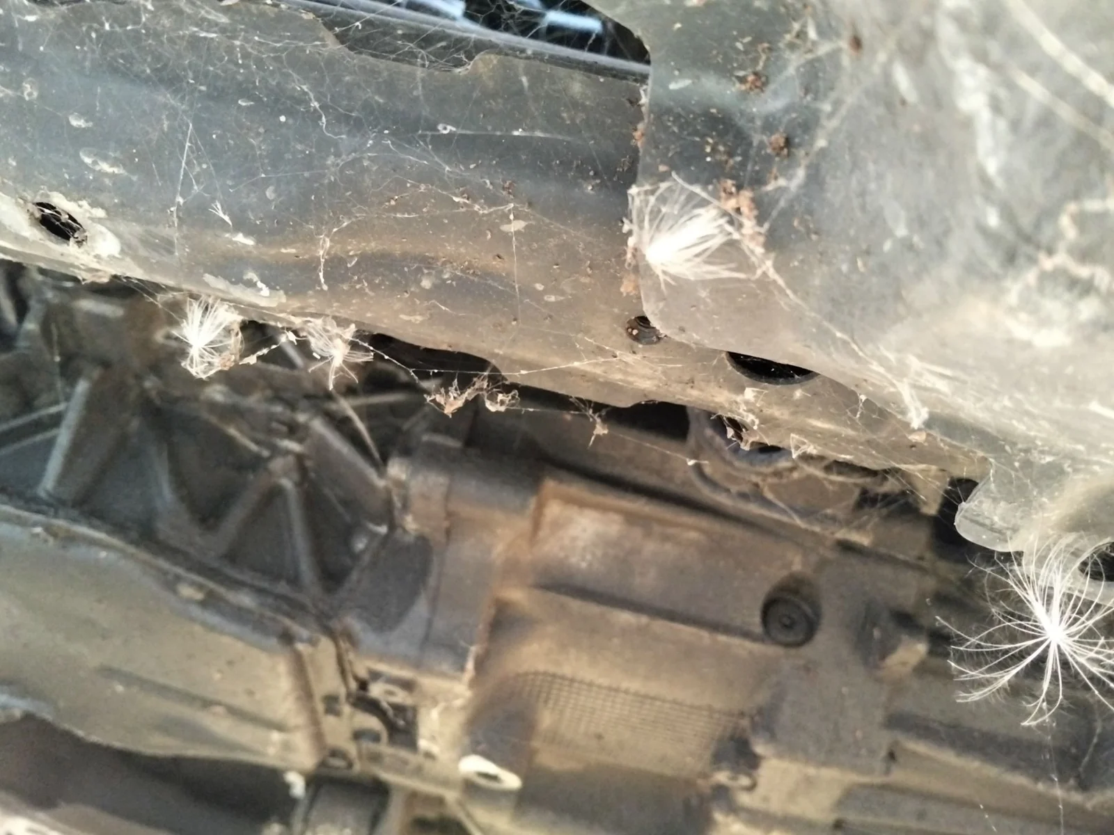 Foto de CAJA CAMBIOS MAZDA 6 BERLINA (GH) 2.2 Turbodiesel CAT (163 CV / 120 KW) referencia A634-17-01XA