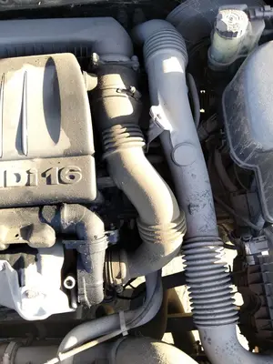 Foto de TUBO PEUGEOT 407 1.6 HDi FAP CAT (9HZ / DV6TED4) (109 CV / 80 KW)