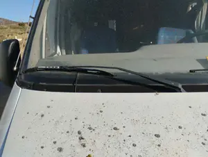 Foto de BRAZO LIMPIA DELANTERO DERECHO FIAT DUCATO II CAMIÓN 2.8 JTD (146 CV / 107 KW)