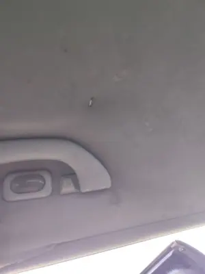 Foto de ASIDERO TECHO TRASERO IZQUIERDO SEAT ALHAMBRA (7V9) 1.9 TDI (116 CV / 85 KW)