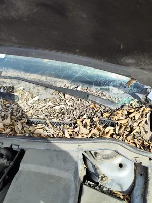 Foto de BRAZO LIMPIA DELANTERO IZQUIERDO FORD FOCUS BERLINA (CAP) 1.8 TDCi Turbodiesel CAT (116 CV / 85 KW)