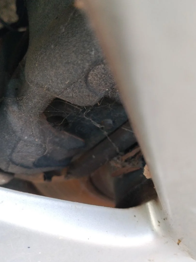 Foto de PINZA DE FRENO TRASERA IZQUIERDA MAZDA 6 BERLINA (GH) 2.2 Turbodiesel CAT (163 CV / 120 KW) referencia GJ6A-26-71XC