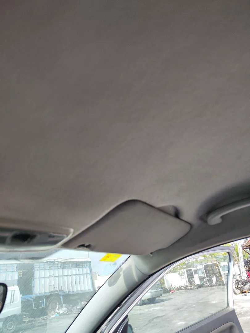 Foto de TECHO INTERIOR FORD FIESTA (CBK) 1.4 TDCi CAT (68 CV / 50 KW) referencia 1319384