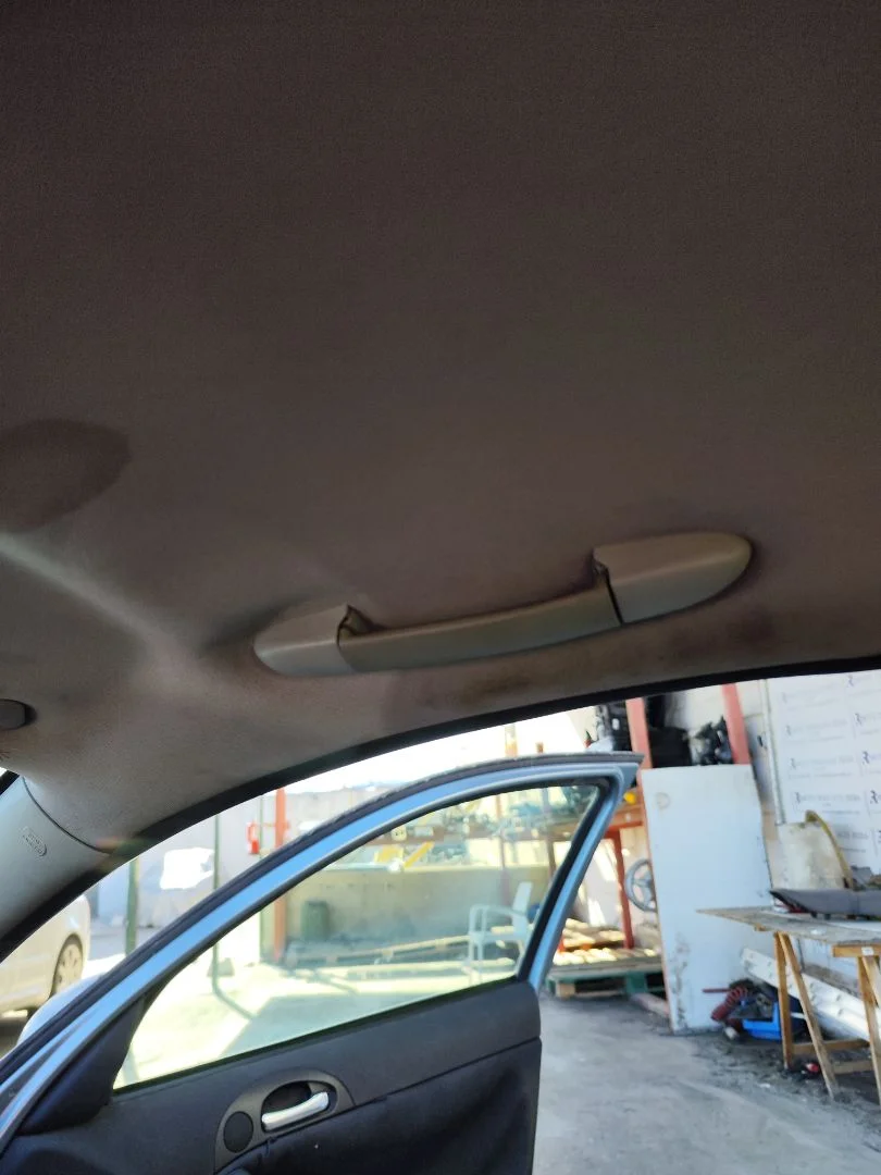 Foto de ASIDERO TECHO DELANTERO DERECHO ALFA ROMEO 147 (190) 1.9 JTD CAT (110 CV / 81 KW)