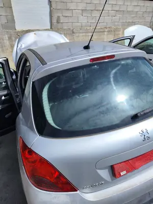 Foto de PORTON TRASERO PEUGEOT 207 1.6 16V HDi (90 CV / 66 KW) referencia 8701CS foto 2