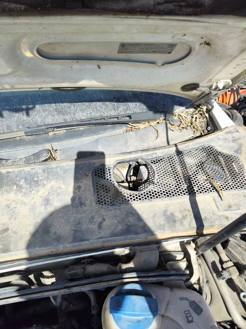 Foto de MOTOR LIMPIA DELANTERO AUDI A6 BERLINA (4F2) 2.0 TDI (140 CV / 103 KW)