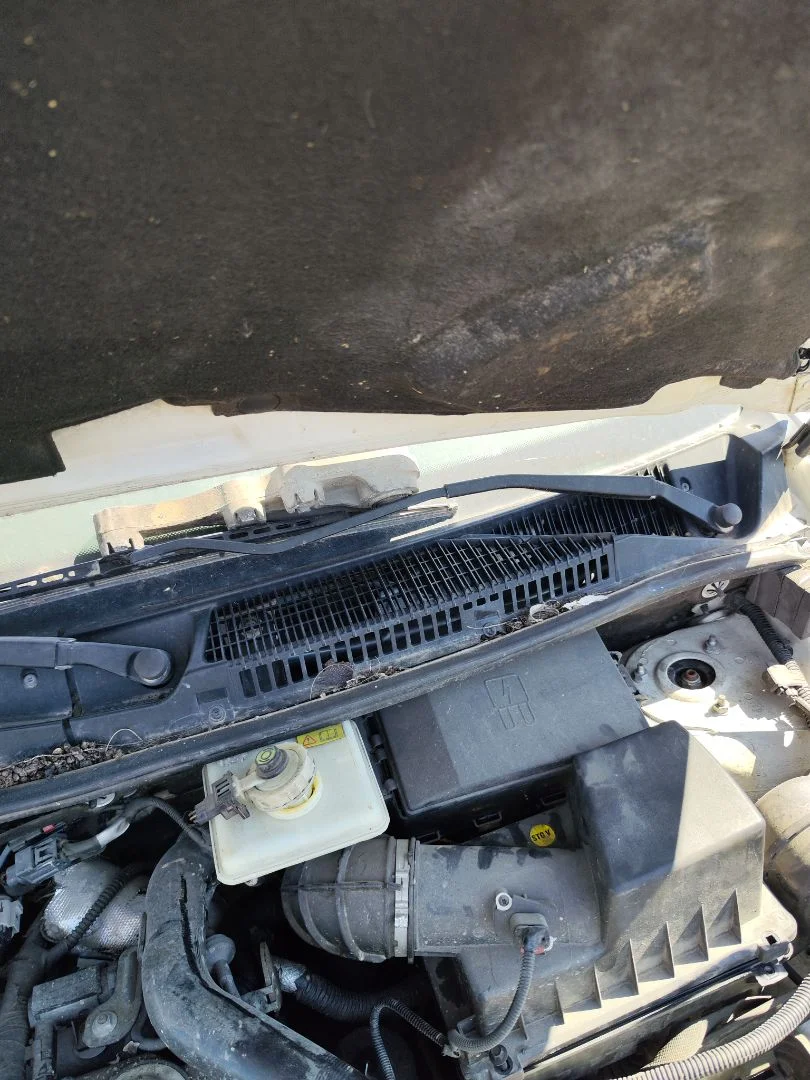 Foto de MOTOR LIMPIA DELANTERO FORD TRANSIT CONNECT (TC7) 1.8 TDCi CAT (90 CV / 66 KW)
