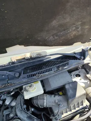 Foto de MOTOR LIMPIA DELANTERO FORD TRANSIT CONNECT (TC7) 1.8 TDCi CAT (90 CV / 66 KW)