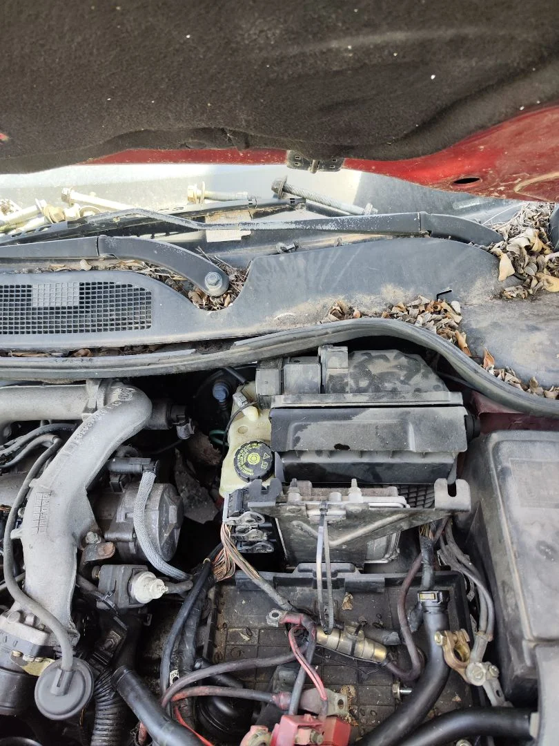 Foto de MOTOR LIMPIA DELANTERO RENAULT MEGANE II BERLINA 3P 1.9 dCi Diesel (120 CV / 88 KW) referencia 7701054828