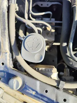 Foto de DEPOSITO LIMPIA VOLVO S40 BERLINA 1.6 CAT (109 CV / 80 KW) referencia 30816507