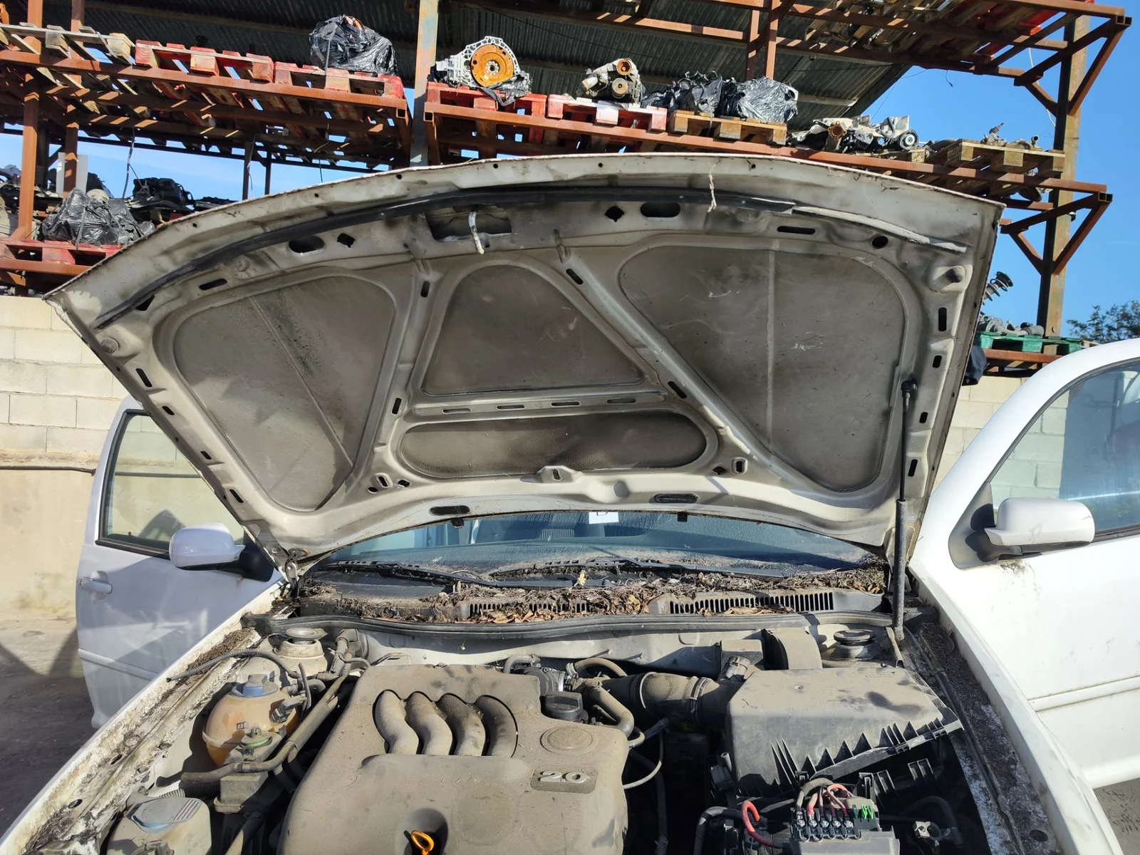 Foto de CAPO VOLKSWAGEN GOLF IV BERLINA (1J1)(10.1997) 2.0 (116 CV / 85 KW)