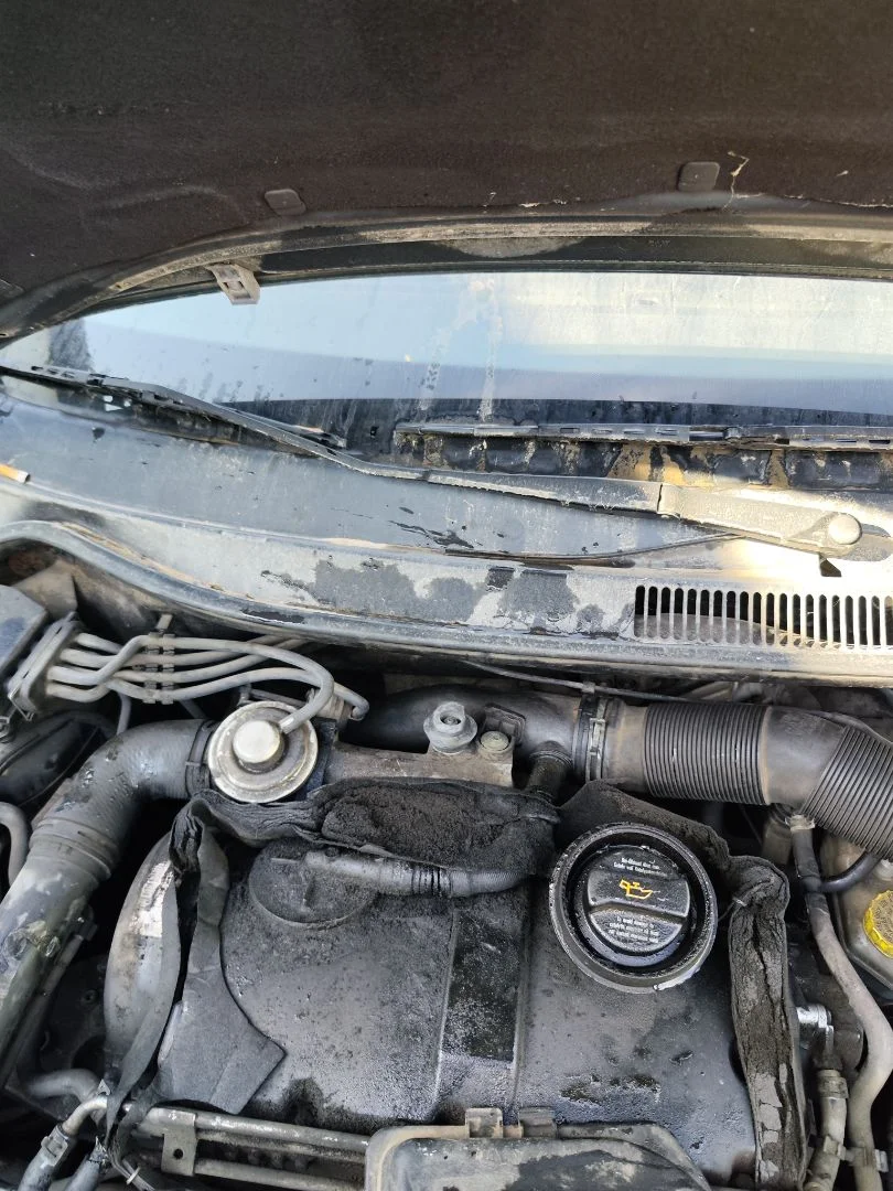 Foto de BRAZO LIMPIA DELANTERO DERECHO SEAT IBIZA (6L1) 1.9 TDI (101 CV / 74 KW) referencia 6L1955410C