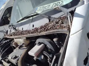 Foto de TORPEDO IVECO DAILY FURGÓN 2.3 Diesel (97 CV / 71 KW)