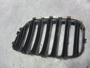 Foto de REJILLA DELANTERA BMW SERIE X5 (E53) 3.0 Turbodiesel CAT (218 CV / 160 KW) referencia 51137124816 foto 3