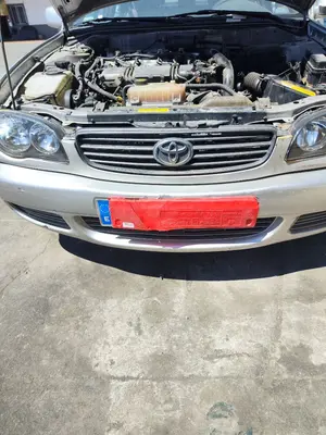 Foto de REJILLA DELANTERA TOYOTA COROLLA (E11) 2.0 Turbodiesel CAT (90 CV / 66 KW)