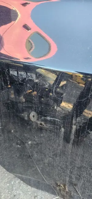 Foto de PUERTA TRASERA DERECHA BMW SERIE X3 (E83) 2.0 Turbodiesel CAT (177 CV / 130 KW) foto 2