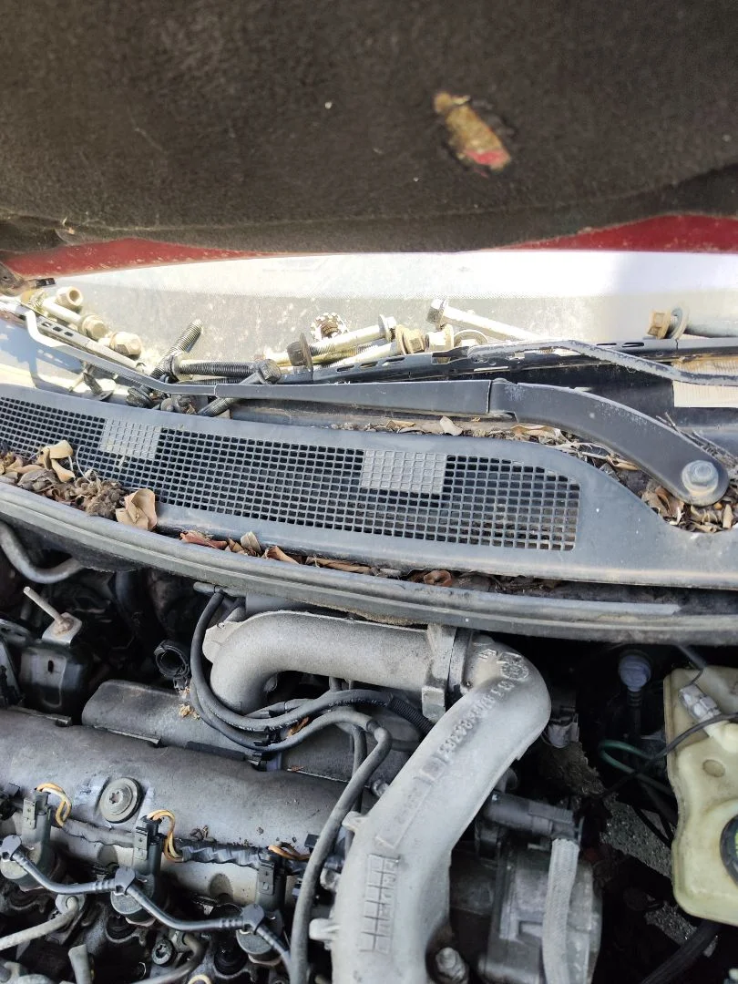 Foto de BRAZO LIMPIA DELANTERO DERECHO RENAULT MEGANE II BERLINA 3P 1.9 dCi Diesel (120 CV / 88 KW) referencia 7701054817