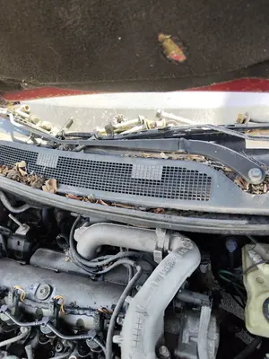 Foto de BRAZO LIMPIA DELANTERO DERECHO RENAULT MEGANE II BERLINA 3P 1.9 dCi Diesel (120 CV / 88 KW) referencia 7701054817