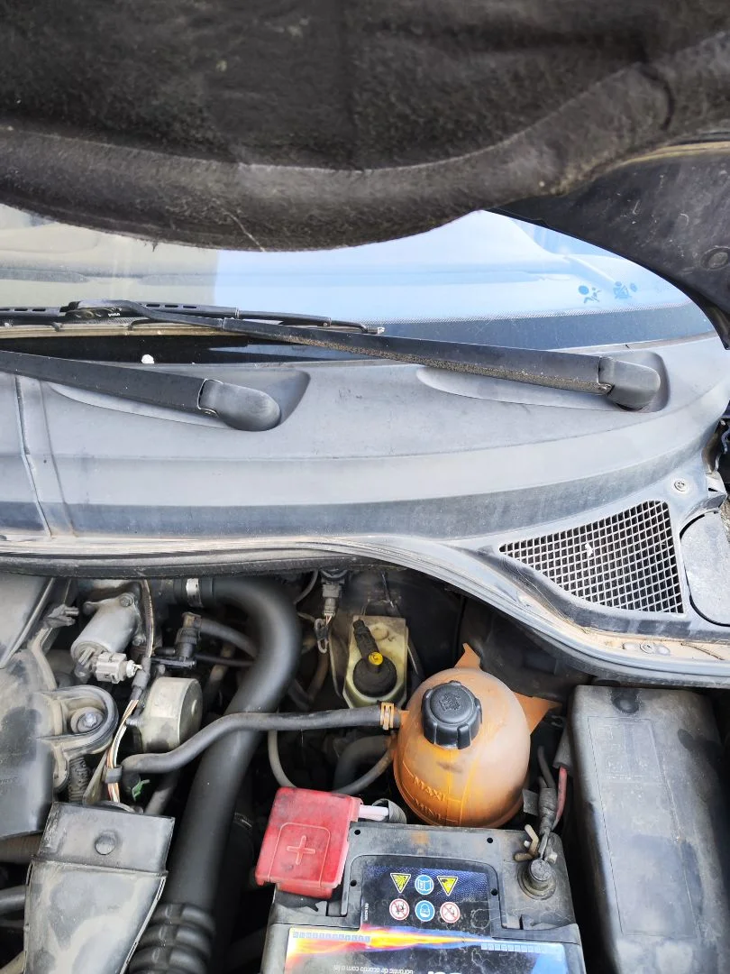 Foto de MOTOR LIMPIA DELANTERO RENAULT SCENIC I (JA...) 1.9 dCi Diesel CAT (102 CV / 75 KW) referencia 7701052228
