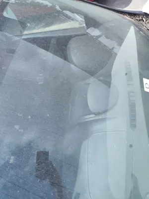 Foto de PARABRISAS RENAULT CLIO III 1.2 16V (75 CV / 55 KW)