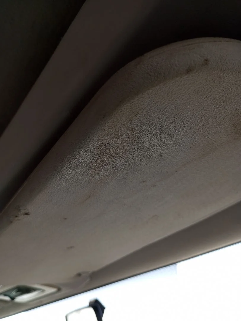 Foto de PARASOL DERECHO CITROEN BERLINGO 1.9 Diesel (69 CV / 51 KW)